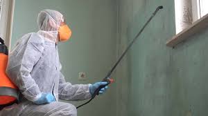  , USA Mold Prevention & Removal Pros